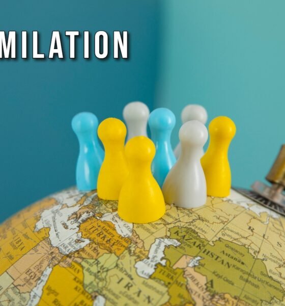 Assimilation