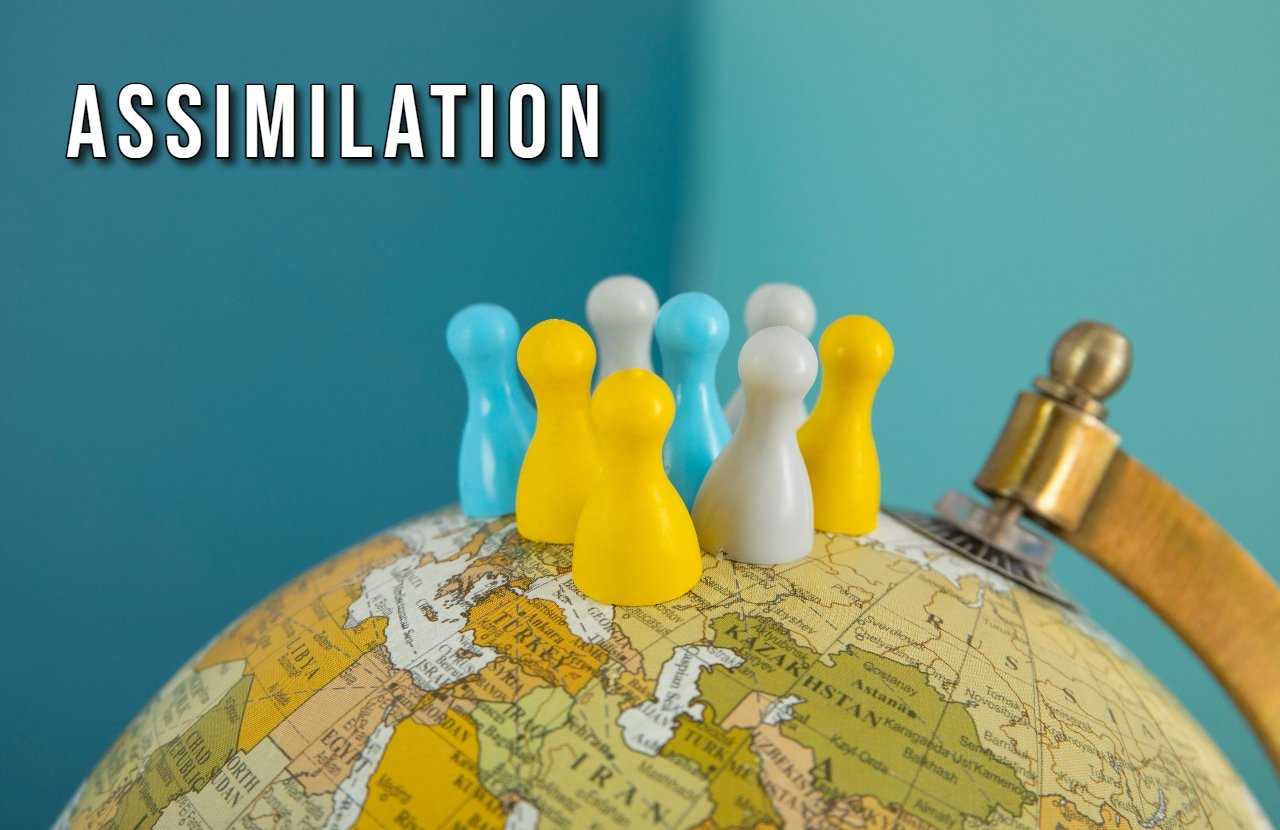 Assimilation